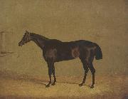 John Frederick Herring The Racehorse 'Mulatto' in A Stall oil painting picture wholesale